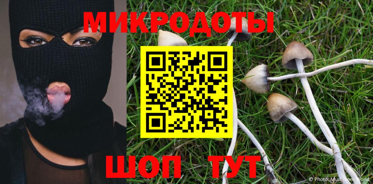 Галлюциногенные грибы Psilocybine cubensis Ростов Великий