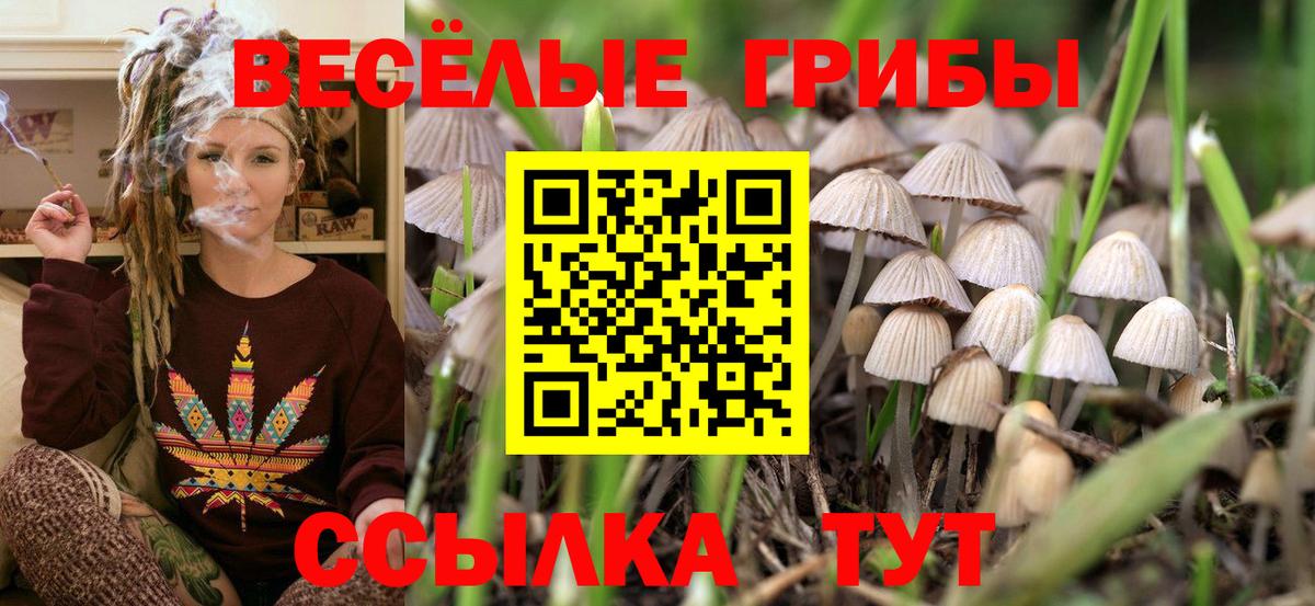 Ростов Великий  Галлюциногенные грибы мухоморы  цены   Вход с VPN  Галлюциногенные грибы Psilocybe 